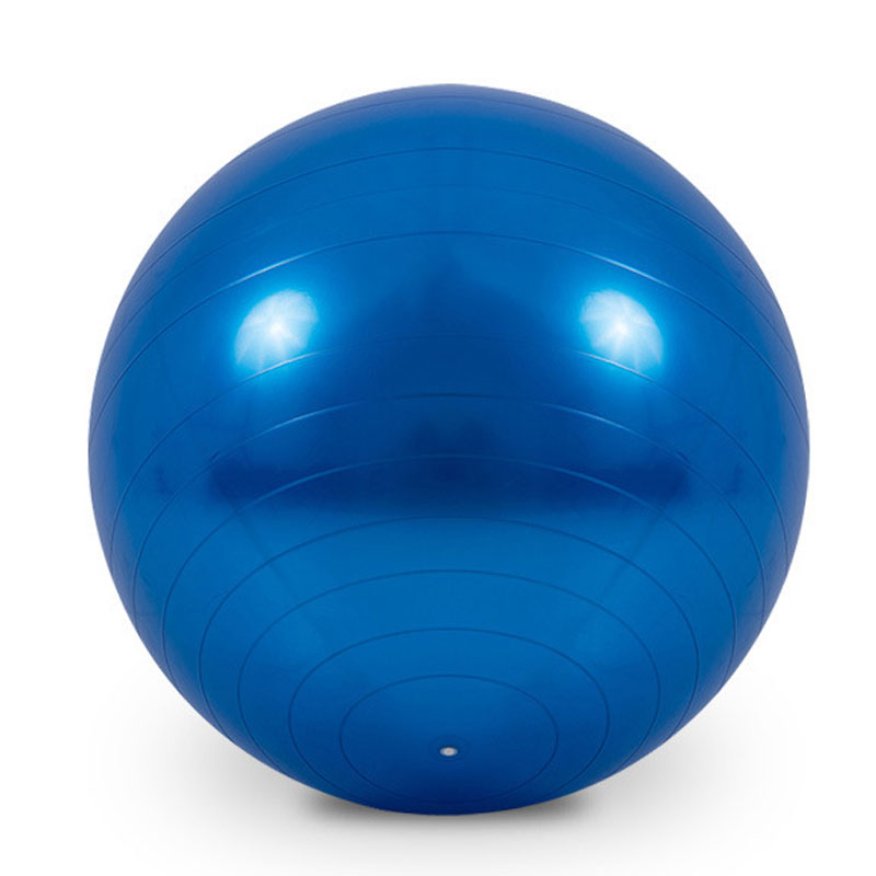 Exercise Gym Ball 55 cm