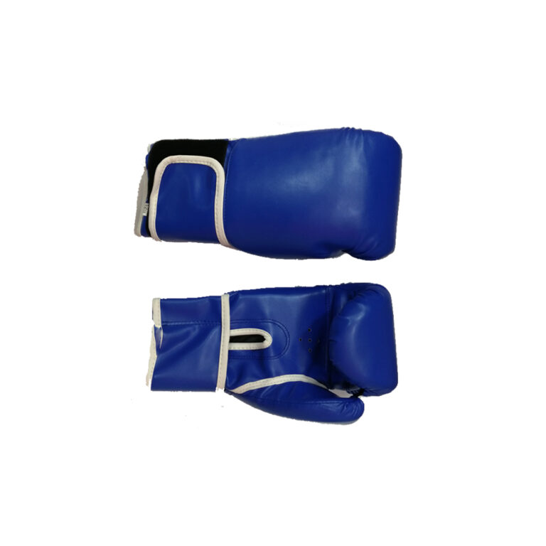 Standard Blue Boxing Gloves