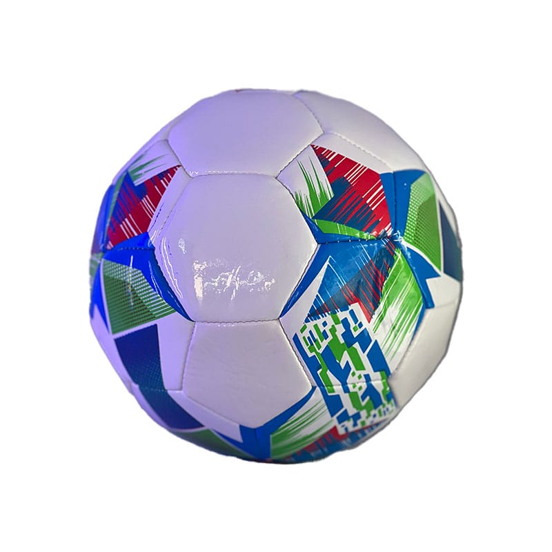 Soccer Ball Standard Model 1